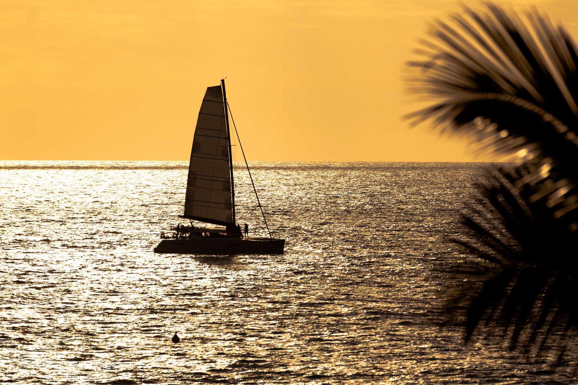 sunset sailing